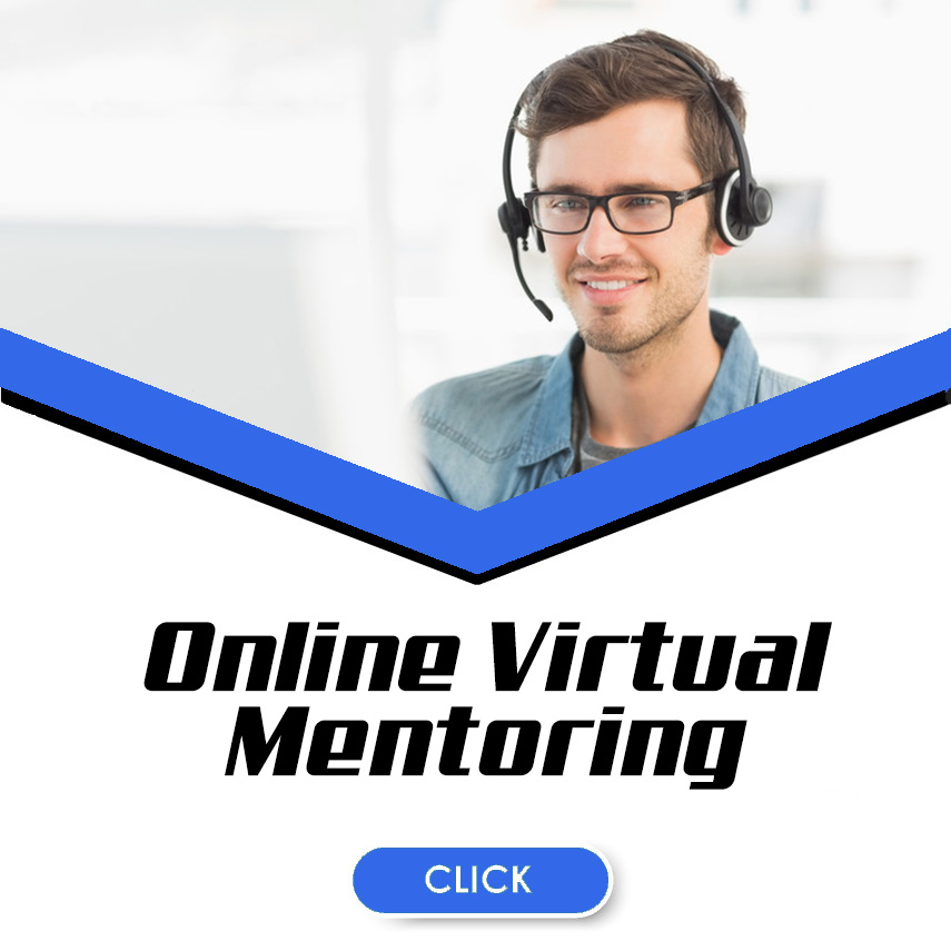 Online Virtual Mentoring